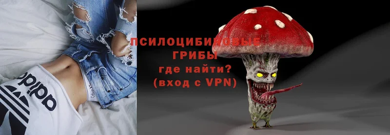 хочу   Оленегорск  Псилоцибиновые грибы Magic Shrooms 